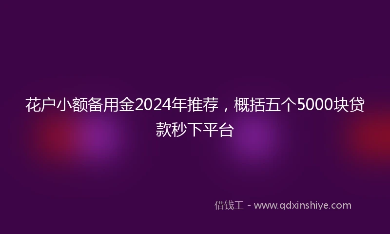 花户小额备用金2024年推荐，概括五个5000块贷款秒下平台