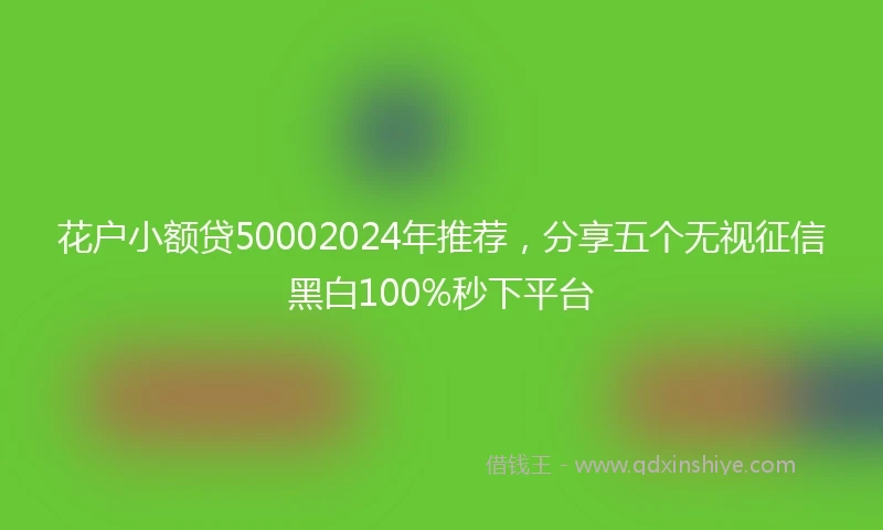 花户小额贷50002024年推荐，分享五个无视征信黑白100%秒下平台