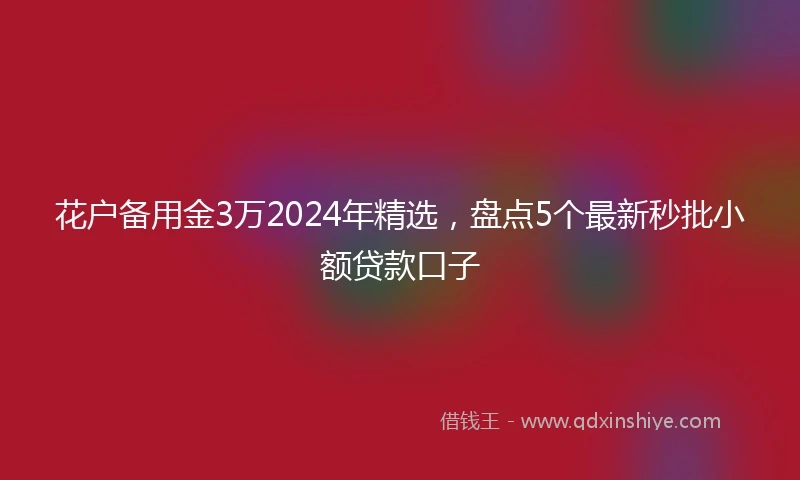 花户备用金3万2024年精选，盘点5个最新秒批小额贷款口子
