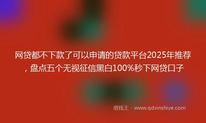 网贷都不下款了可以申请的贷款平台2025年推荐，盘点五个无视征信黑白100%秒下网贷口子