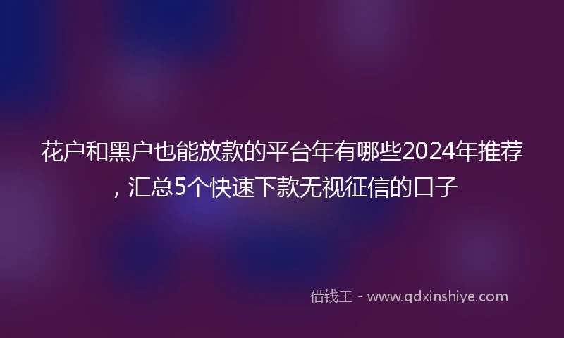 花户和黑户也能放款的平台年有哪些2024年推荐，汇总5个快速下款无视征信的口子