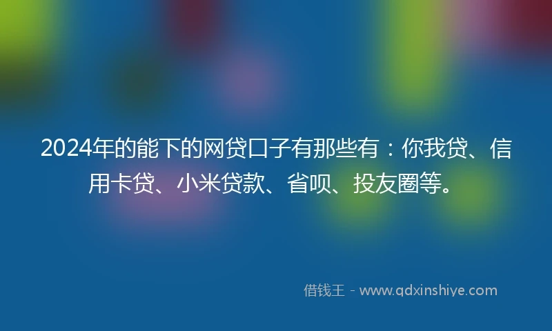 2024年的能下的网贷口子有那些有：你我贷、信用卡贷、小米贷款、省呗、投友圈等。