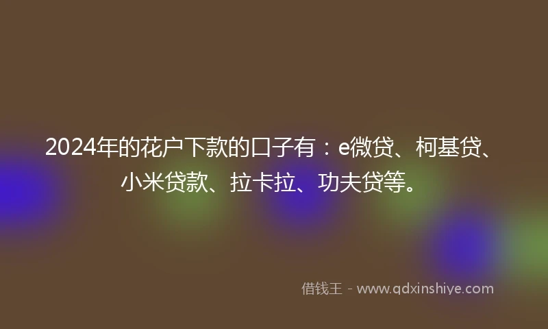 2024年的花户下款的口子有：e微贷、柯基贷、小米贷款、拉卡拉、功夫贷等。