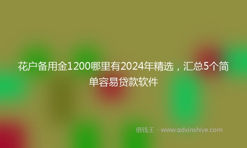 花户备用金1200哪里有2024年精选，汇总5个简单容易贷款软件