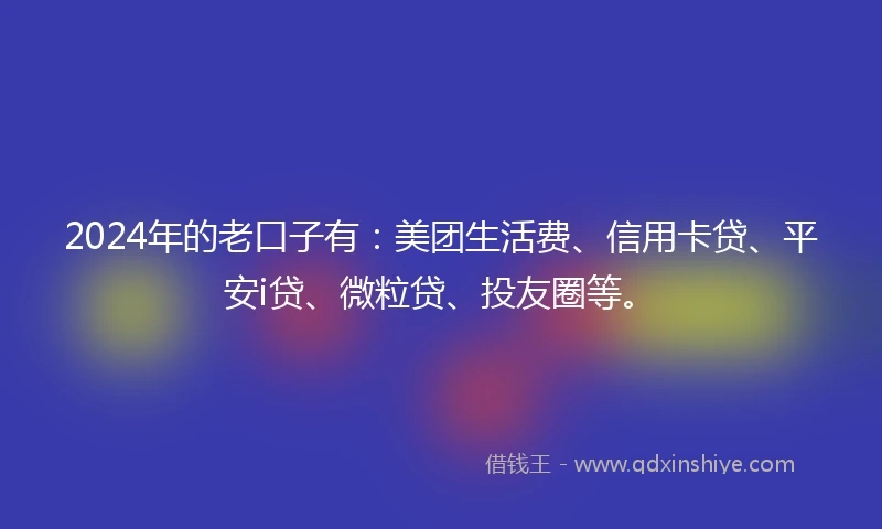 2024年的老口子有：美团生活费、信用卡贷、平安i贷、微粒贷、投友圈等。