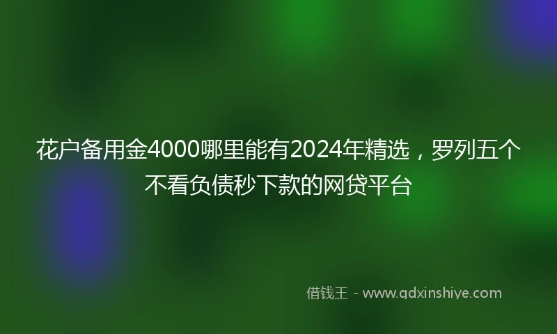 花户备用金4000哪里能有2024年精选，罗列五个不看负债秒下款的网贷平台