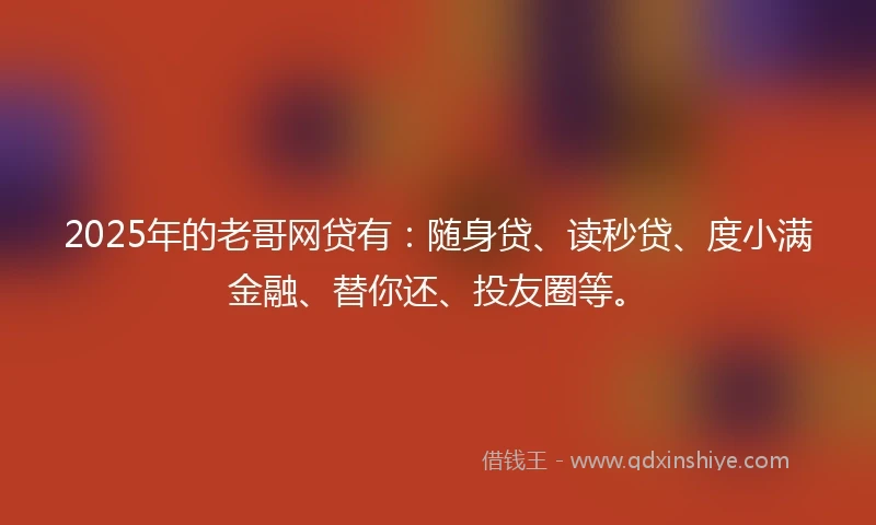 2025年的老哥网贷有：随身贷、读秒贷、度小满金融、替你还、投友圈等。