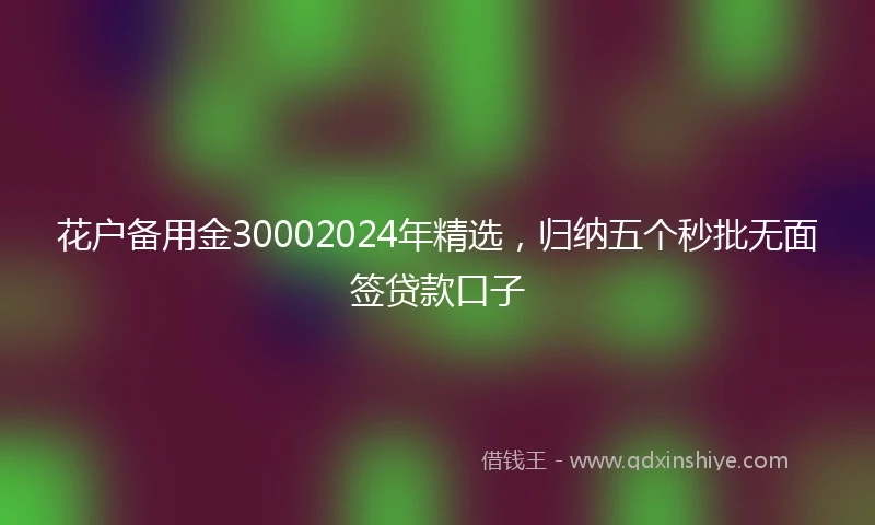 花户备用金30002024年精选，归纳五个秒批无面签贷款口子