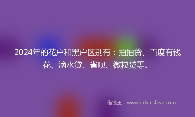 2024年的花户和黑户区别有：拍拍贷、百度有钱花、滴水贷、省呗、微粒贷等。