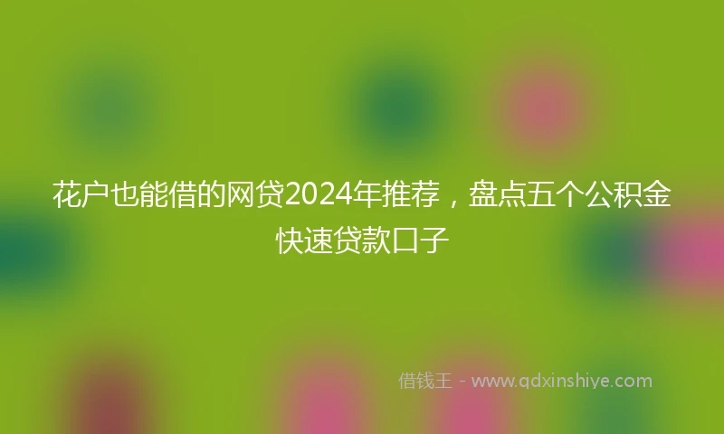 花户也能借的网贷2024年推荐，盘点五个公积金快速贷款口子