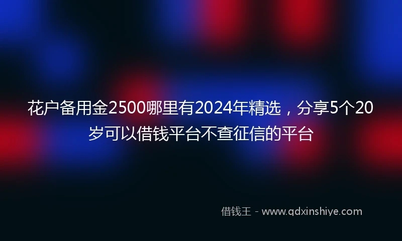 花户备用金2500哪里有2024年精选，分享5个20岁可以借钱平台不查征信的平台