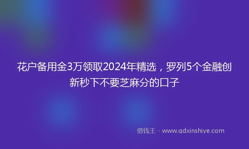 花户备用金3万领取2024年精选，罗列5个金融创新秒下不要芝麻分的口子