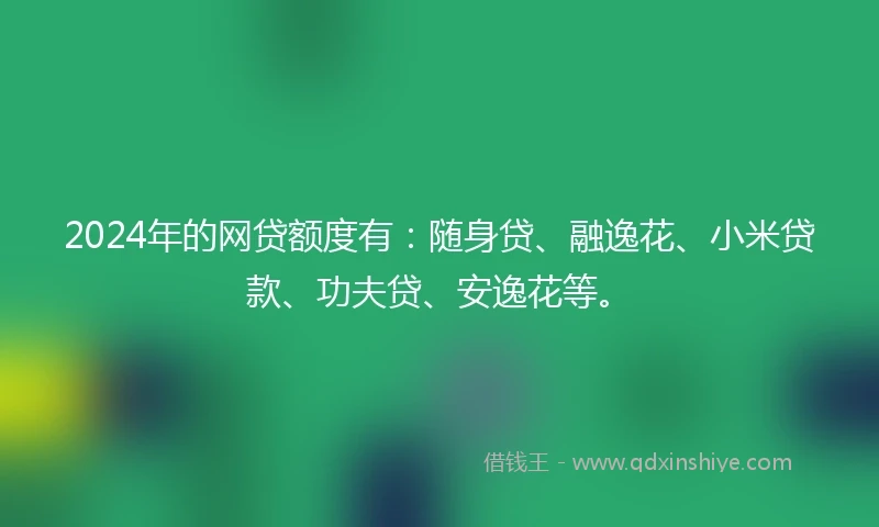 2024年的网贷额度有：随身贷、融逸花、小米贷款、功夫贷、安逸花等。