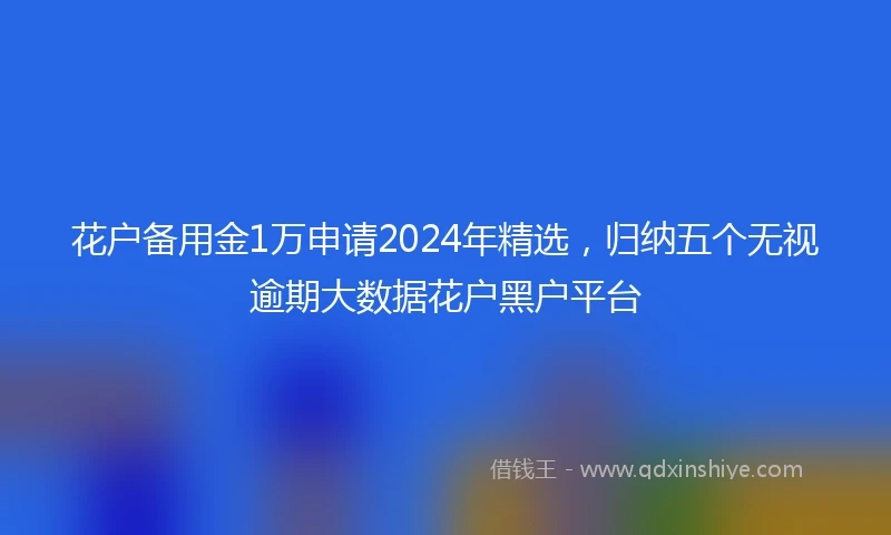 花户备用金1万申请2024年精选，归纳五个无视逾期大数据花户黑户平台