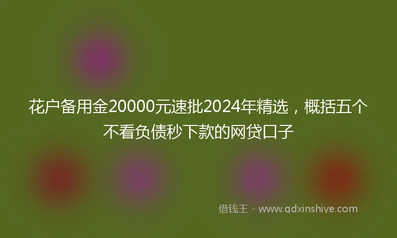 花户备用金20000元速批2024年精选，概括五个不看负债秒下款的网贷口子