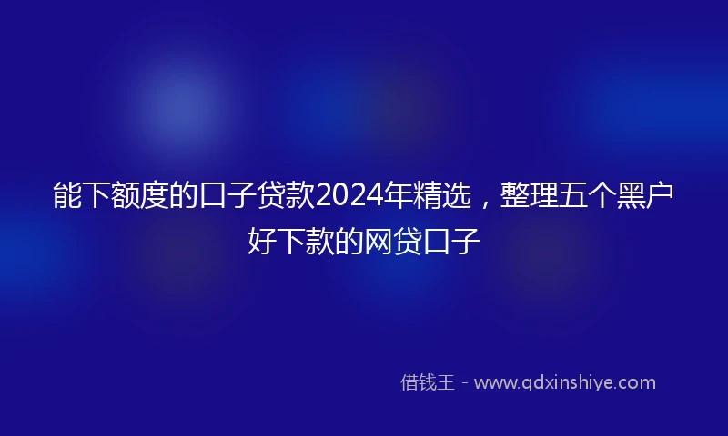 能下额度的口子贷款2024年精选，整理五个黑户好下款的网贷口子