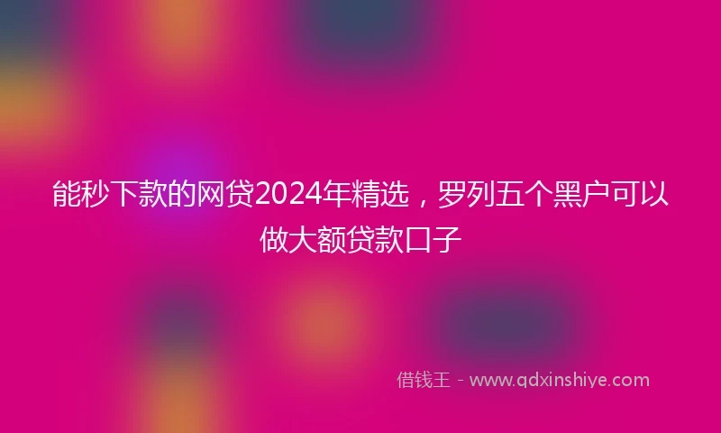 能秒下款的网贷2024年精选，罗列五个黑户可以做大额贷款口子