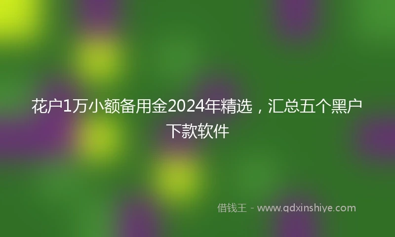 花户1万小额备用金2024年精选，汇总五个黑户下款软件
