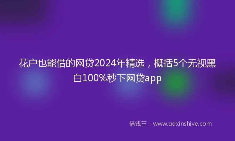花户也能借的网贷2024年精选，概括5个无视黑白100%秒下网贷app