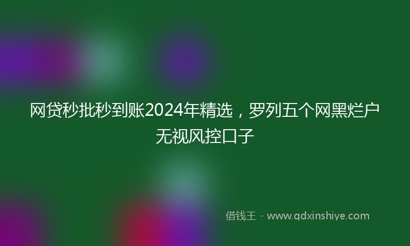 网贷秒批秒到账2024年精选，罗列五个网黑烂户无视风控口子
