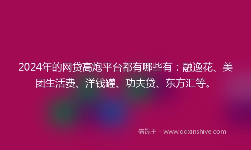 2024年的网贷高炮平台都有哪些有：融逸花、美团生活费、洋钱罐、功夫贷、东方汇等。