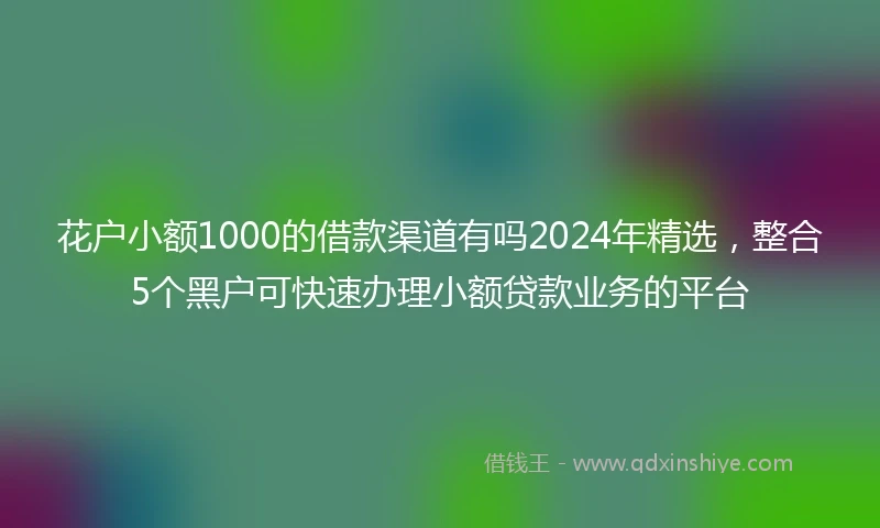 花户小额1000的借款渠道有吗2024年精选，整合5个黑户可快速办理小额贷款业务的平台