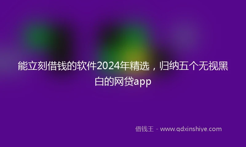 能立刻借钱的软件2024年精选，归纳五个无视黑白的网贷app