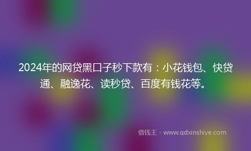 2024年的网贷黑口子秒下款有：小花钱包、快贷通、融逸花、读秒贷、百度有钱花等。