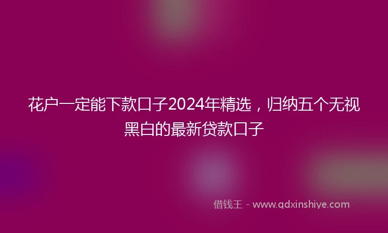 花户一定能下款口子2024年精选，归纳五个无视黑白的最新贷款口子