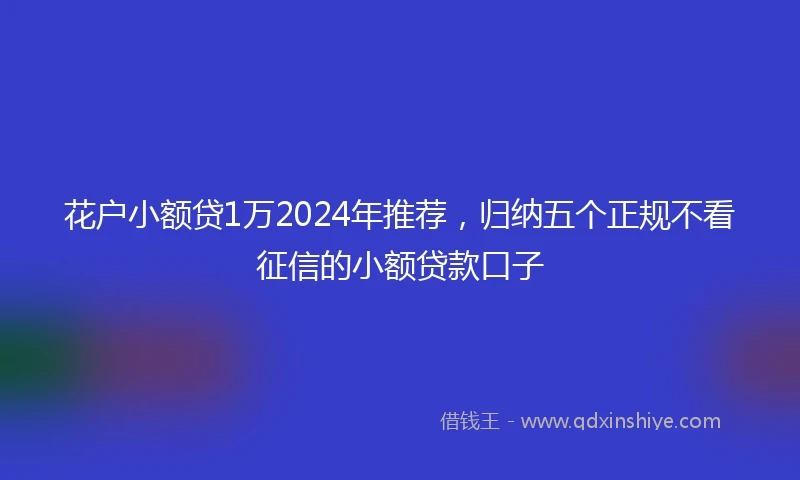 花户小额贷1万2024年推荐，归纳五个正规不看征信的小额贷款口子