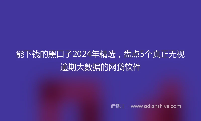 能下钱的黑口子2024年精选，盘点5个真正无视逾期大数据的网贷软件