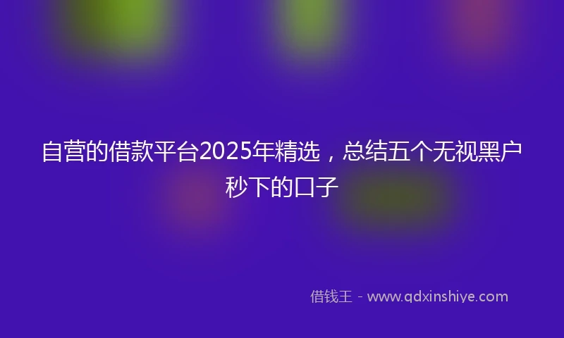 自营的借款平台2025年精选,总结五个无视黑户秒下的口子