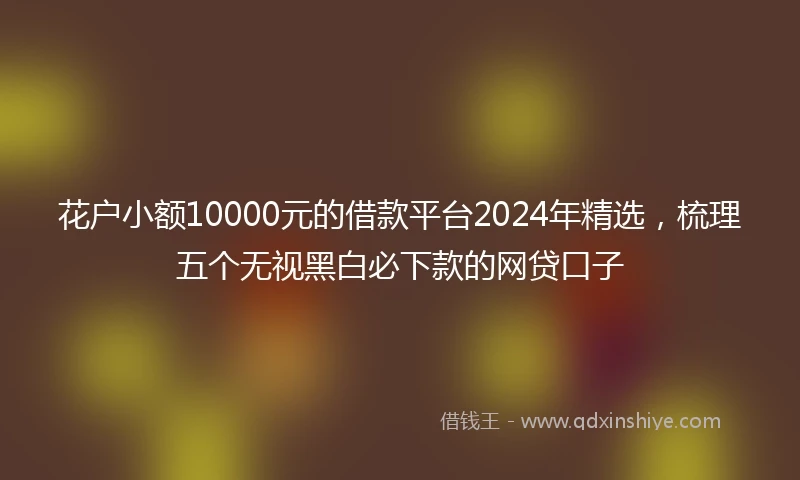 花户小额10000元的借款平台2024年精选，梳理五个无视黑白必下款的网贷口子