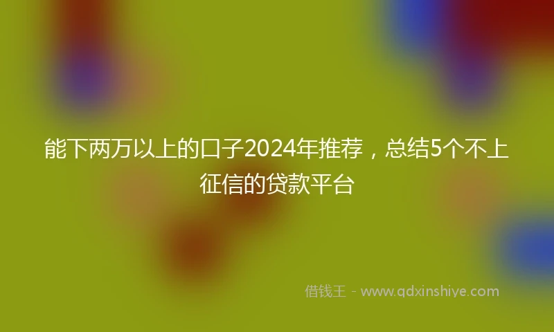 能下两万以上的口子2024年推荐，总结5个不上征信的贷款平台