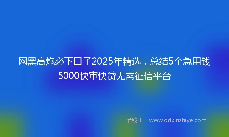 网黑高炮必下口子2025年精选，总结5个急用钱5000快审快贷无需征信平台
