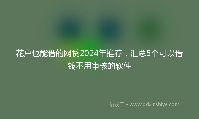 花户也能借的网贷2024年推荐，汇总5个可以借钱不用审核的软件