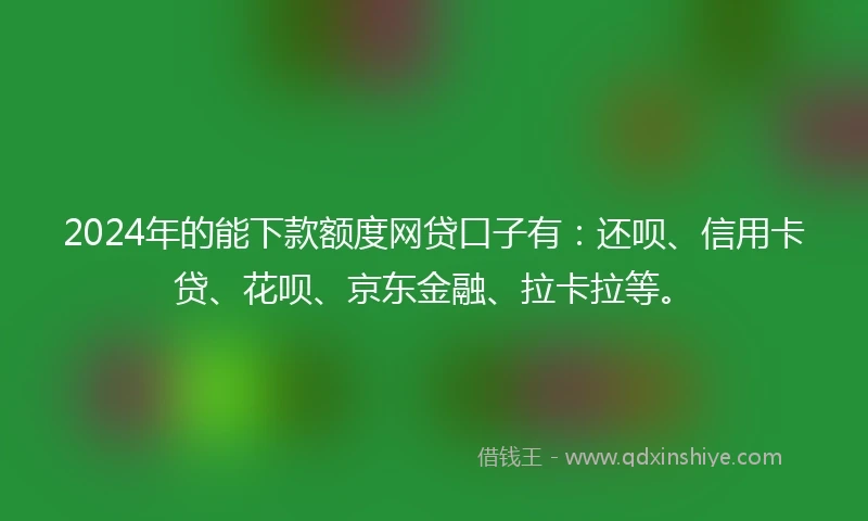 2024年的能下款额度网贷口子有：还呗、信用卡贷、花呗、京东金融、拉卡拉等。