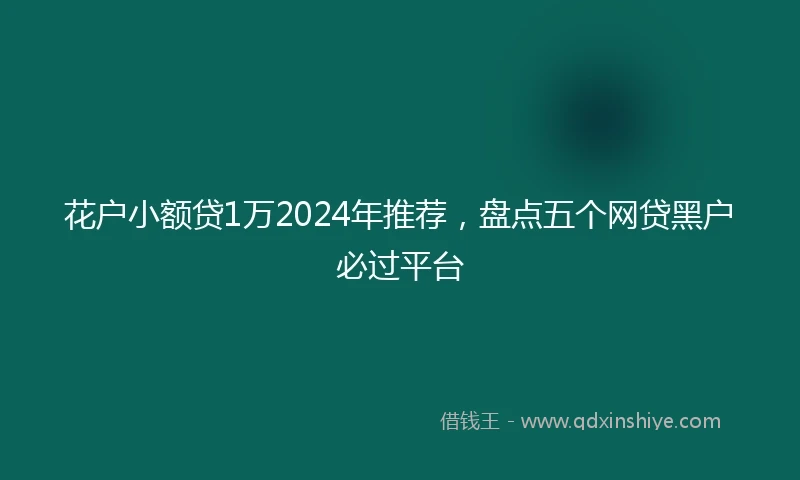 花户小额贷1万2024年推荐，盘点五个网贷黑户必过平台