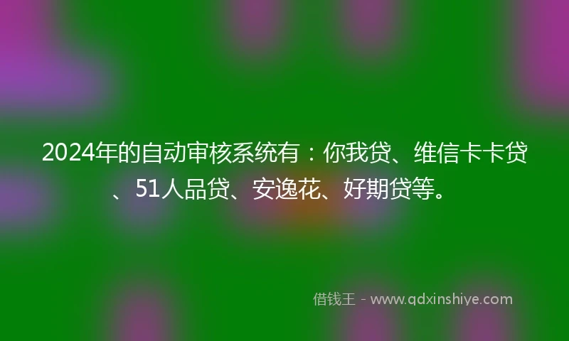 2024年的自动审核系统有：你我贷、维信卡卡贷、51人品贷、安逸花、好期贷等。