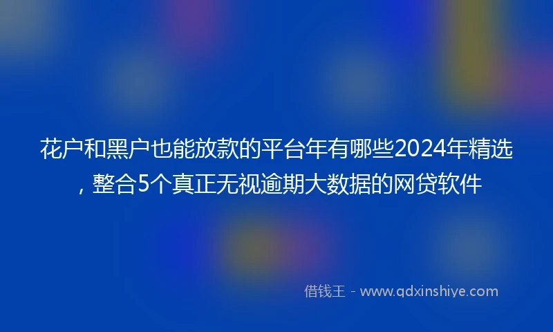 花户和黑户也能放款的平台年有哪些2024年精选，整合5个真正无视逾期大数据的网贷软件