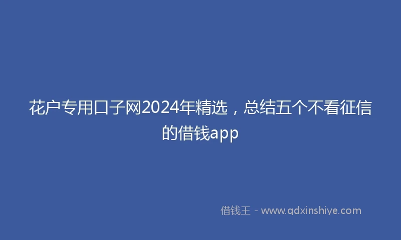 花户专用口子网2024年精选，总结五个不看征信的借钱app