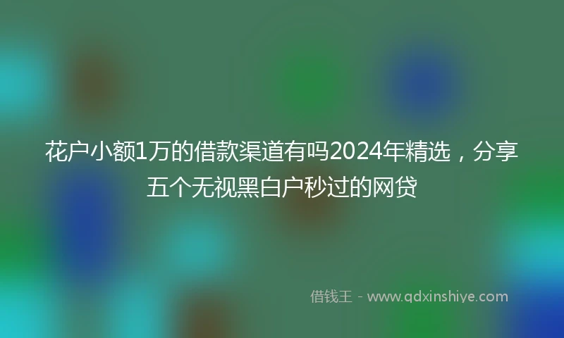 花户小额1万的借款渠道有吗2024年精选，分享五个无视黑白户秒过的网贷