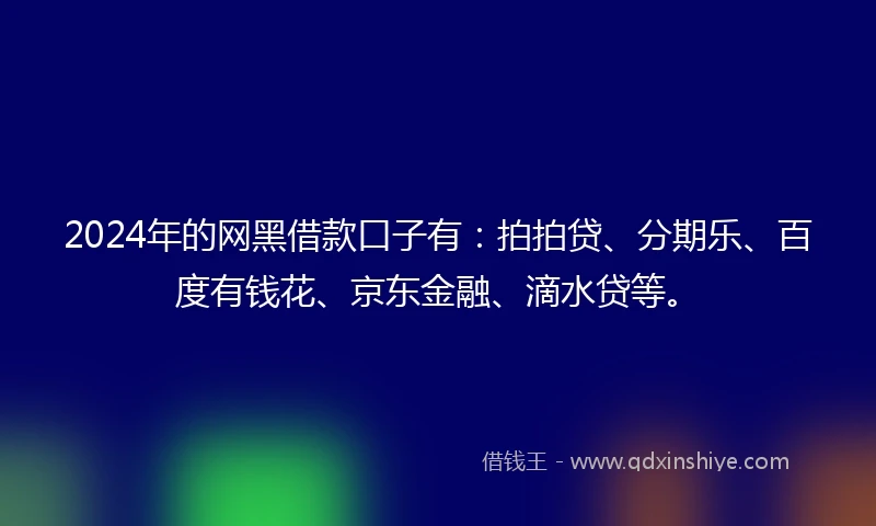 2024年的网黑借款口子有：拍拍贷、分期乐、百度有钱花、京东金融、滴水贷等。