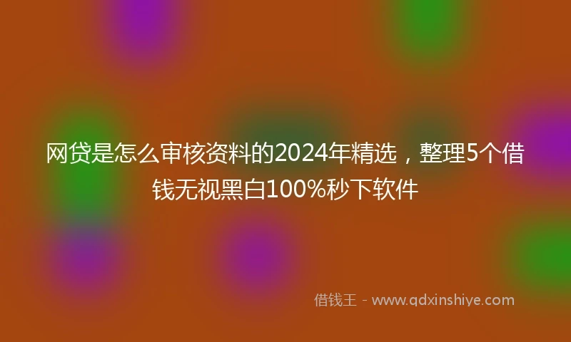 网贷是怎么审核资料的2024年精选，整理5个借钱无视黑白100%秒下软件