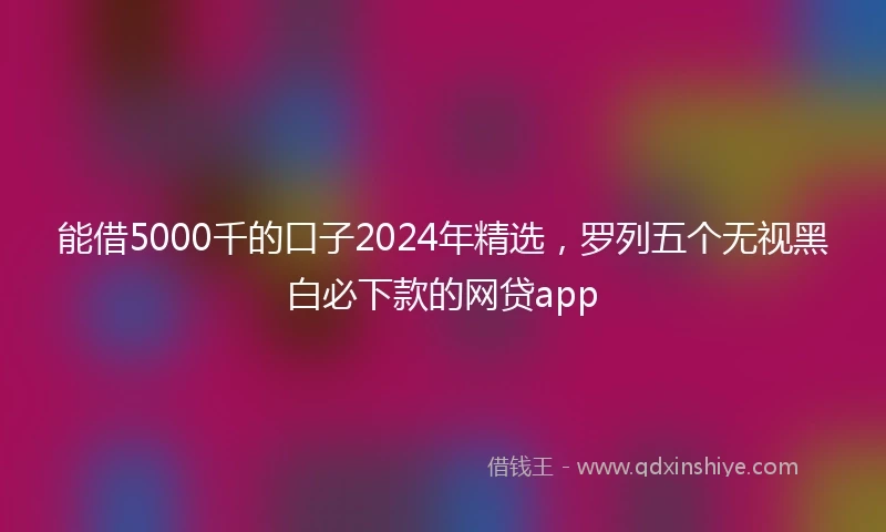 能借5000千的口子2024年精选，罗列五个无视黑白必下款的网贷app