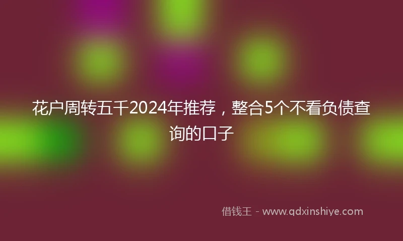 花户周转五千2024年推荐，整合5个不看负债查询的口子