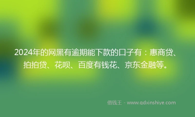 2024年的网黑有逾期能下款的口子有：惠商贷、拍拍贷、花呗、百度有钱花、京东金融等。