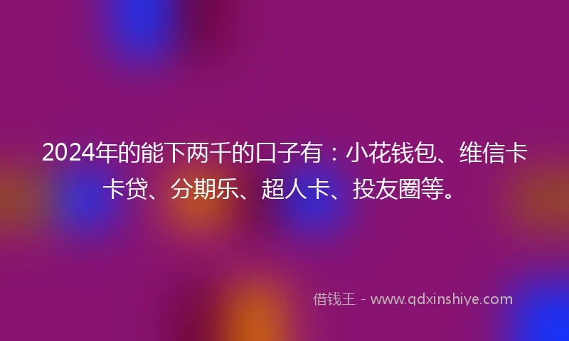 2024年的能下两千的口子有：小花钱包、维信卡卡贷、分期乐、超人卡、投友圈等。