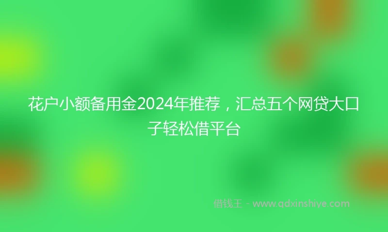花户小额备用金2024年推荐,汇总五个网贷大口子轻松借平台