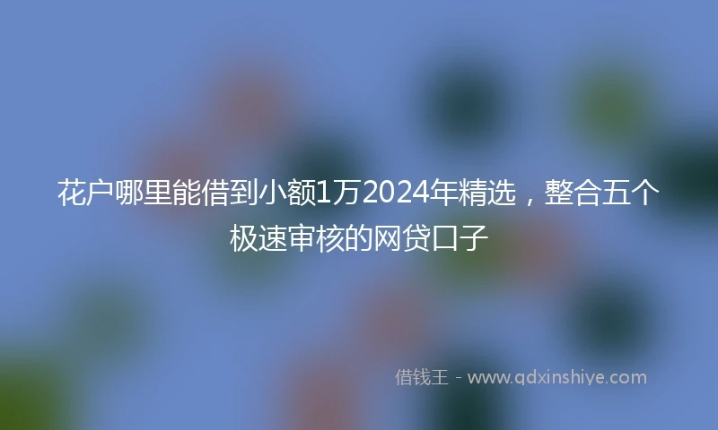 花户哪里能借到小额1万2024年精选，整合五个极速审核的网贷口子